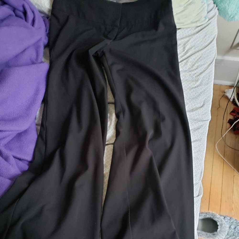 Dress pants